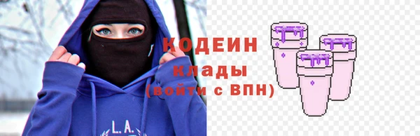 прущий лед Богданович