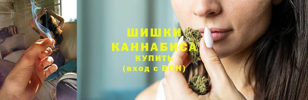прущий лед Богданович