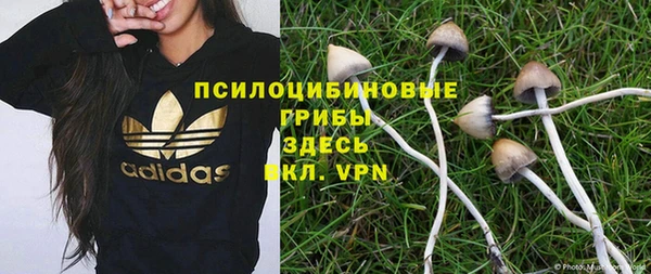 прущий лед Богданович