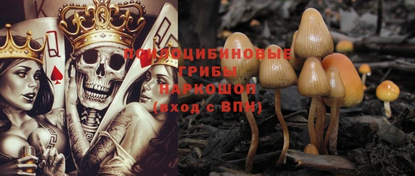 PSILOCYBIN Богородск