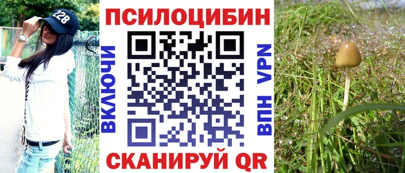 купить  сайты  Безенчук  Псилоцибиновые грибы мицелий 